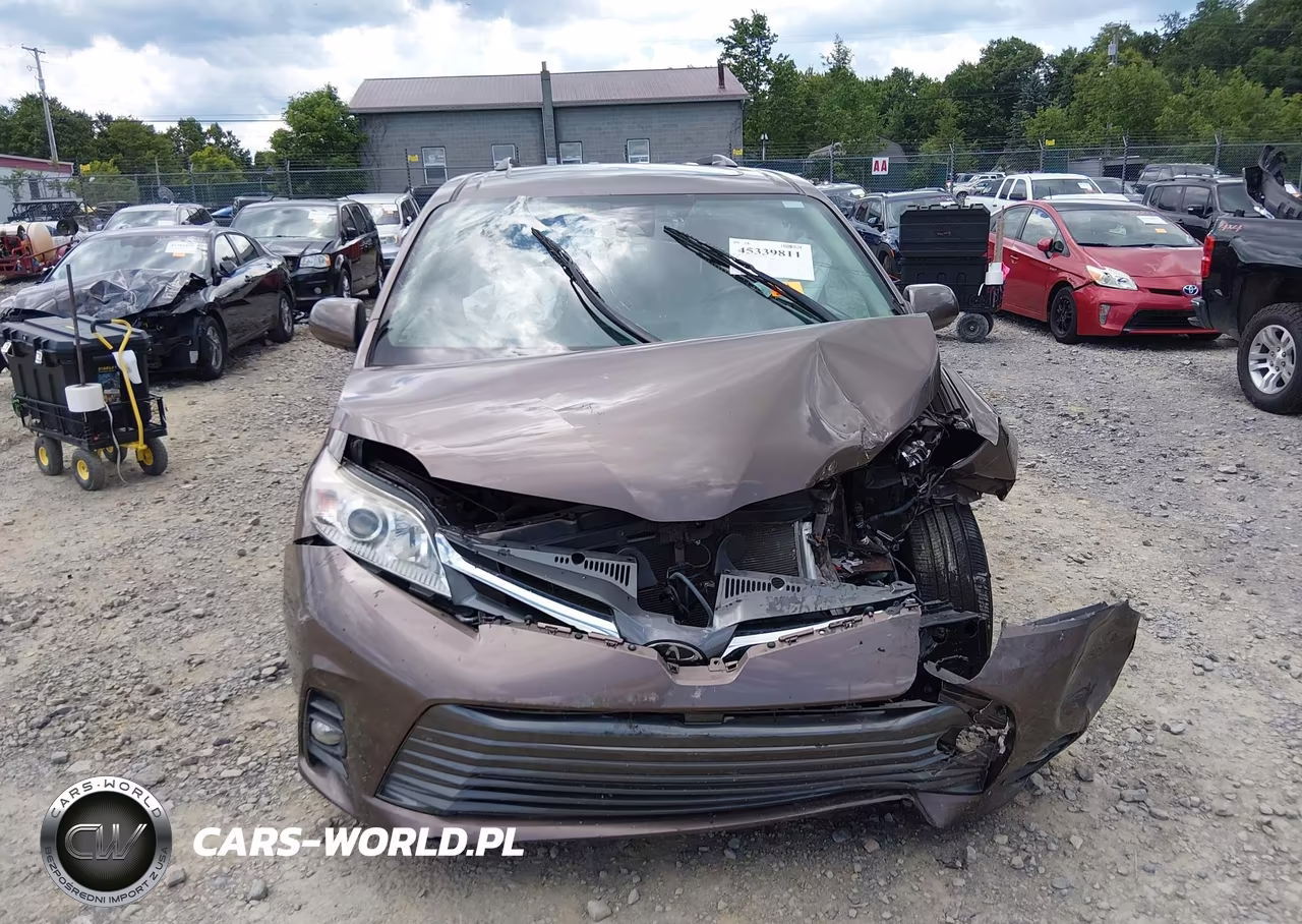 2020 Toyota Sienna Xle Premium VIN:5TDYZ3DC2LS080188 - 13