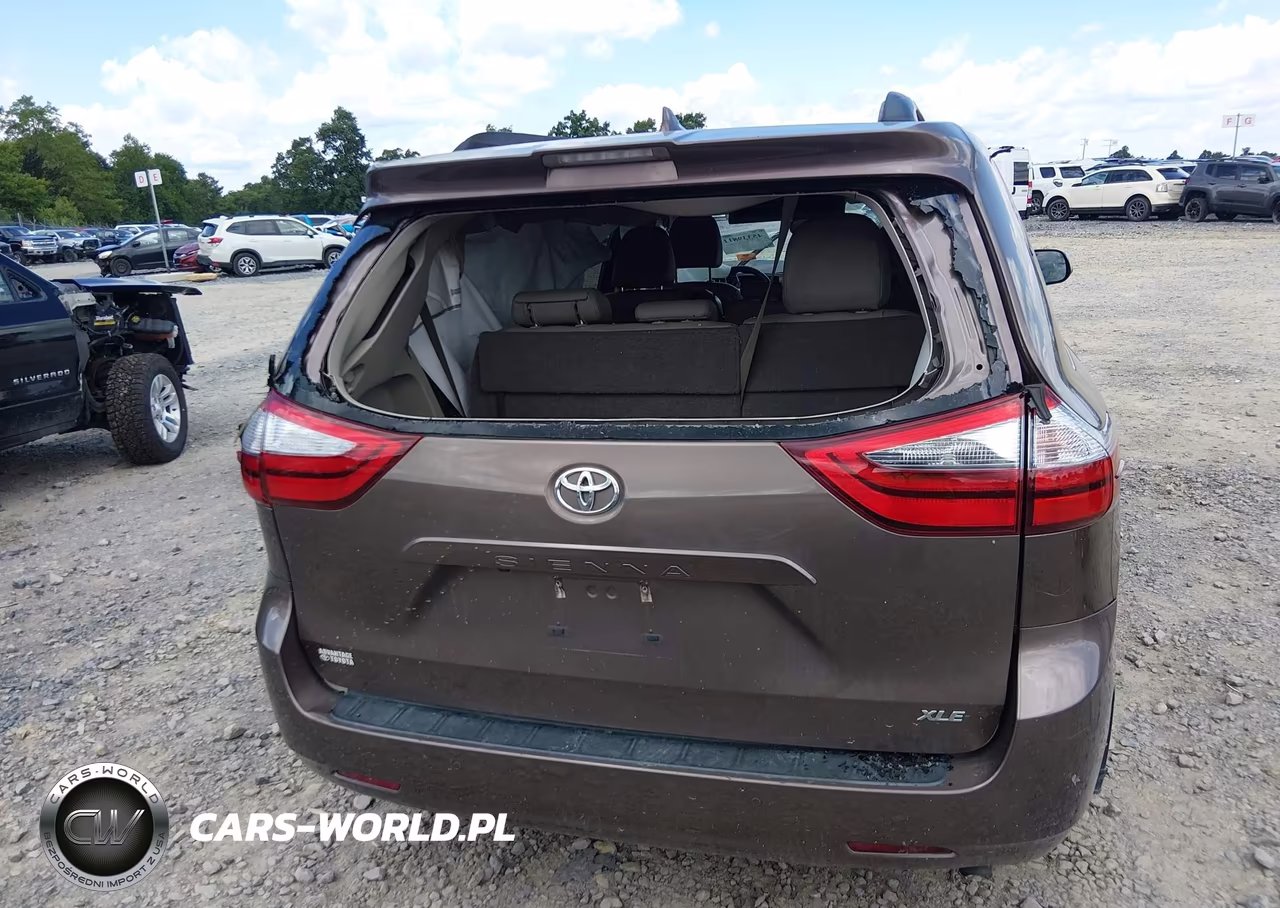 2020 Toyota Sienna Xle Premium VIN:5TDYZ3DC2LS080188 - 17