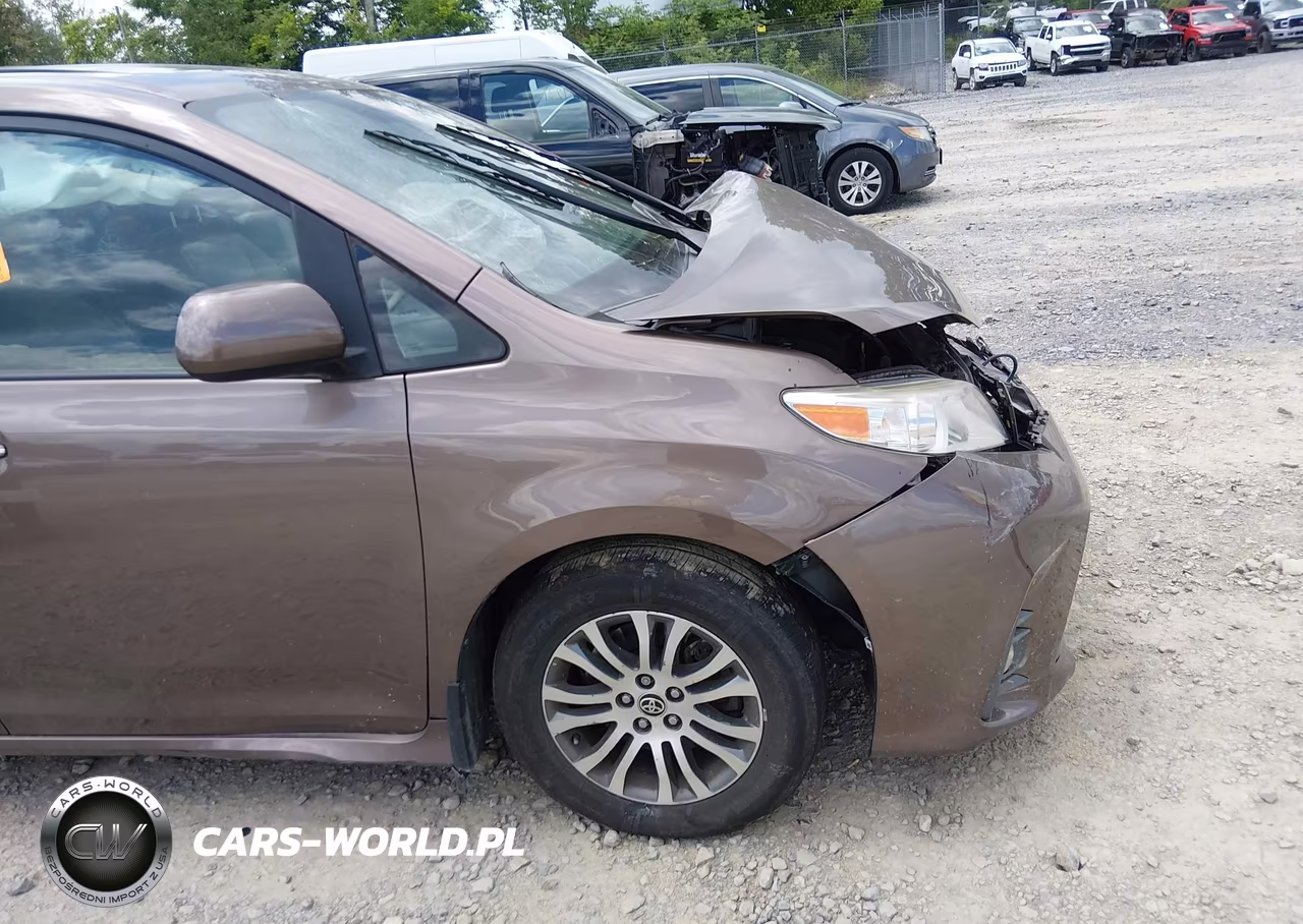 2020 Toyota Sienna Xle Premium VIN:5TDYZ3DC2LS080188 - 19