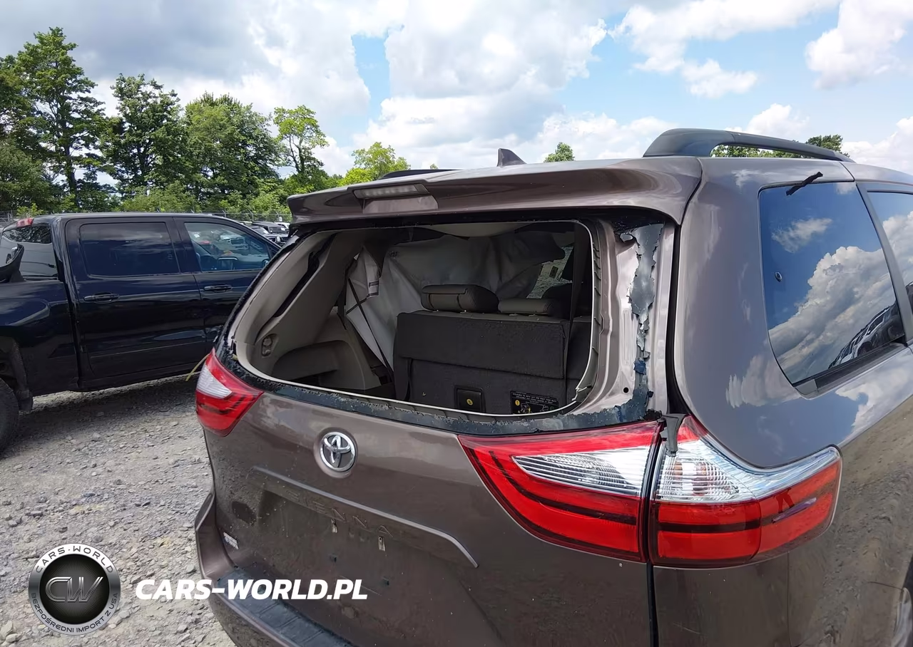 2020 Toyota Sienna Xle Premium VIN:5TDYZ3DC2LS080188 - 20