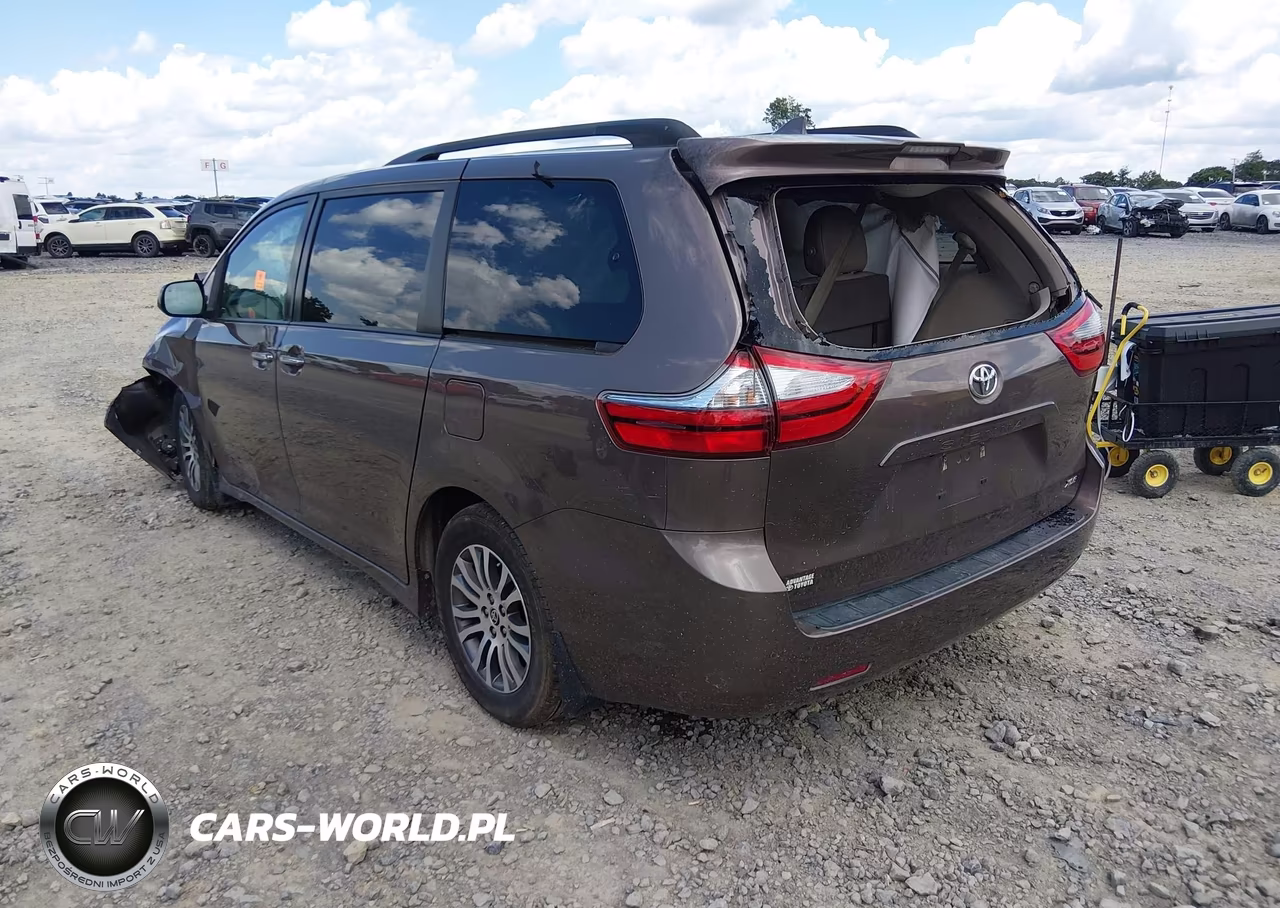 2020 Toyota Sienna Xle Premium VIN:5TDYZ3DC2LS080188 - 3