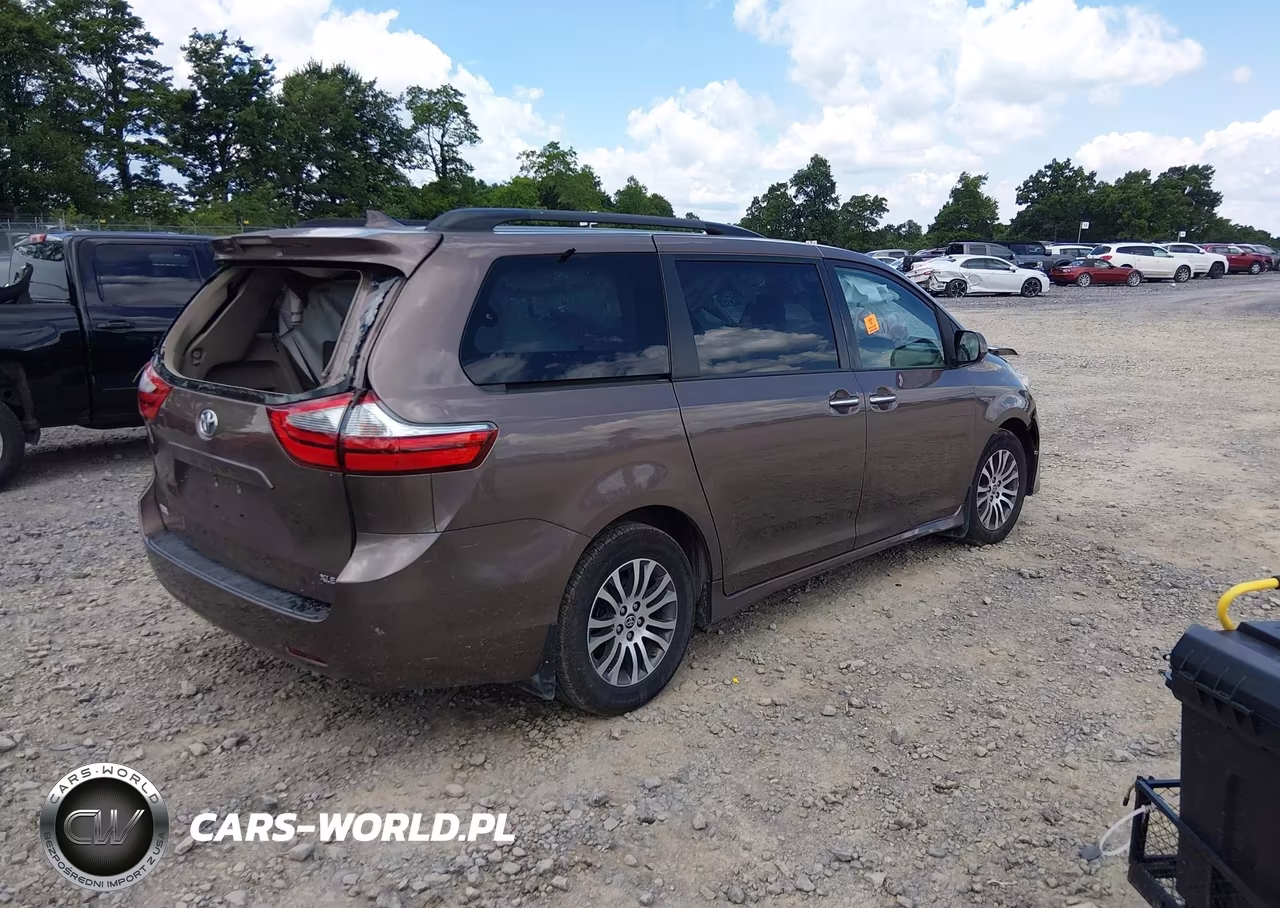 2020 Toyota Sienna Xle Premium VIN:5TDYZ3DC2LS080188 - 4