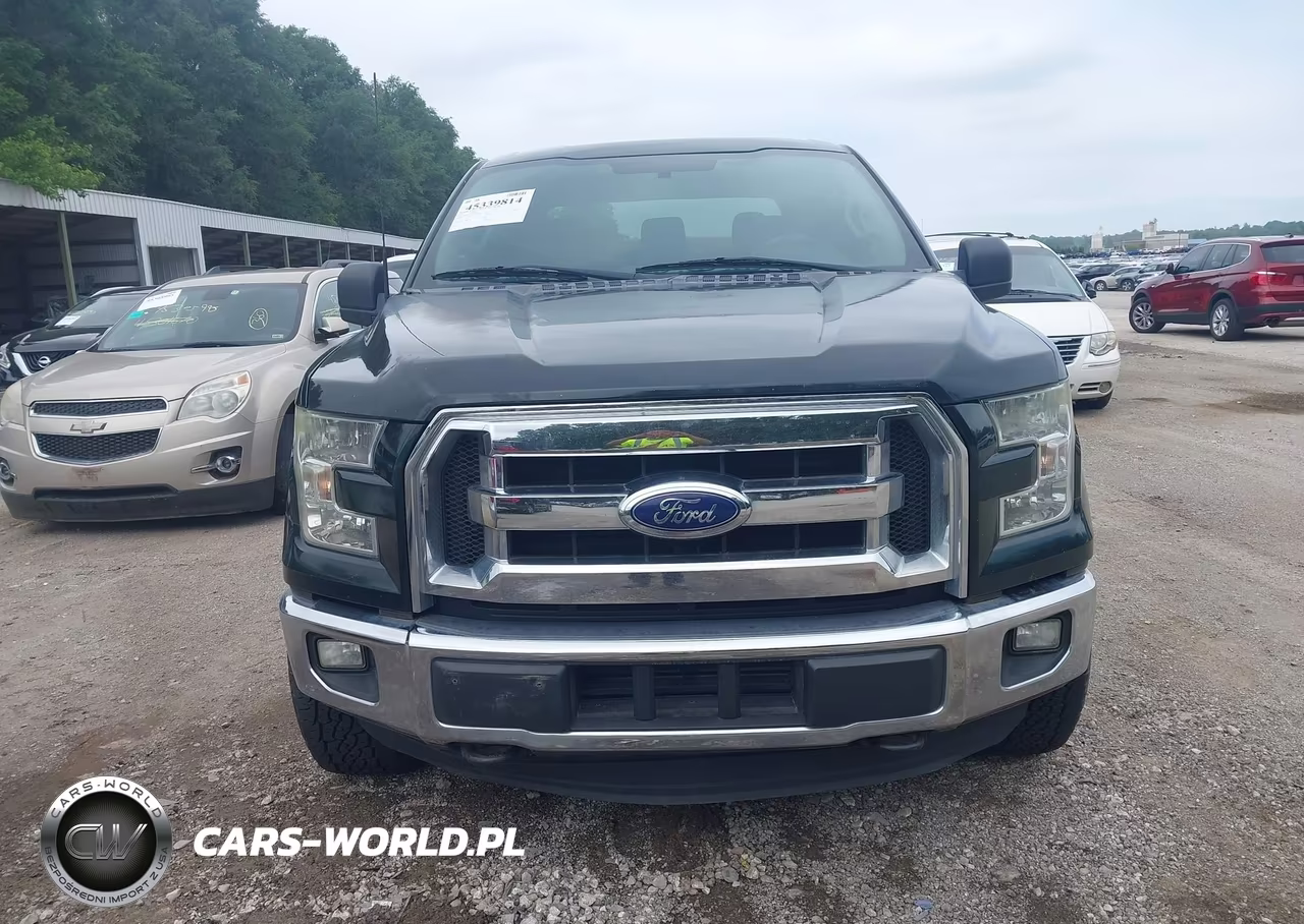 2016 Ford F-150 Xlt VIN:1FTEW1EP5GKE65808 - 12