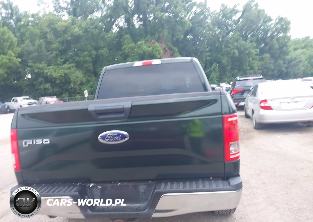 2016 Ford F-150 Xlt VIN:1FTEW1EP5GKE65808 - 16