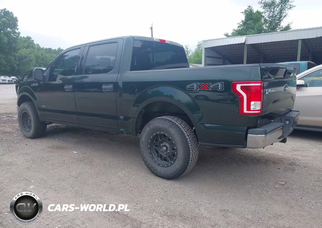 2016 Ford F-150 Xlt VIN:1FTEW1EP5GKE65808 - 3