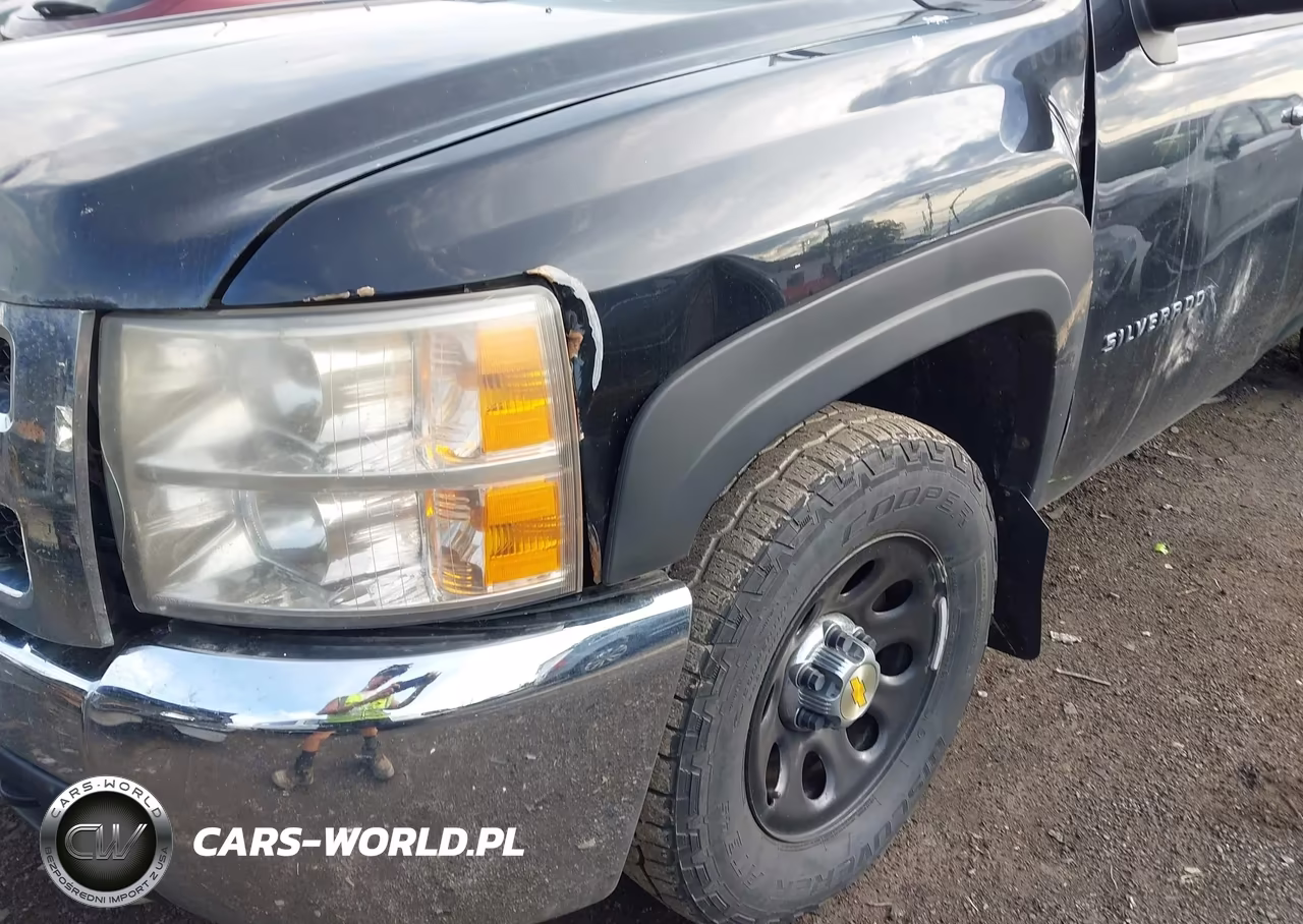 2013 Chevrolet Silverado 1500 Work Truck VIN:1GCNCPEX7DZ394819 - 6