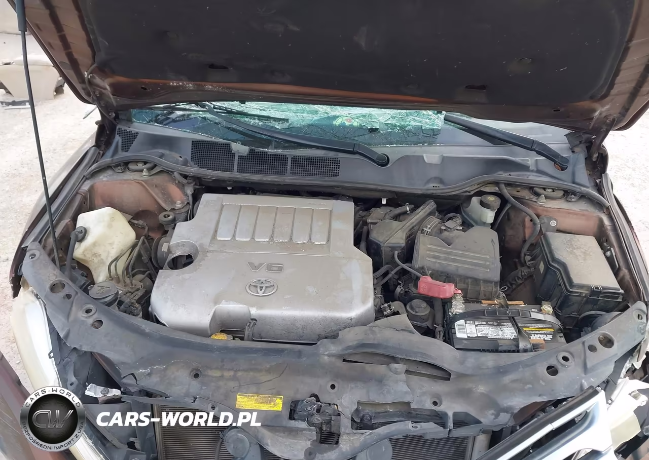 2009 Toyota Venza Base V6 VIN:4T3ZK11A79U019152 - 10