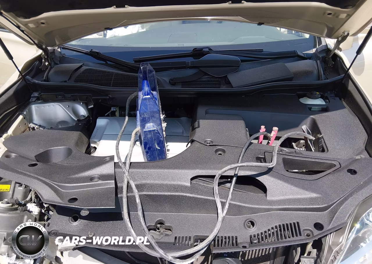 2014 Lexus Rx 350 VIN:JTJZK1BA1E2011417 - 10