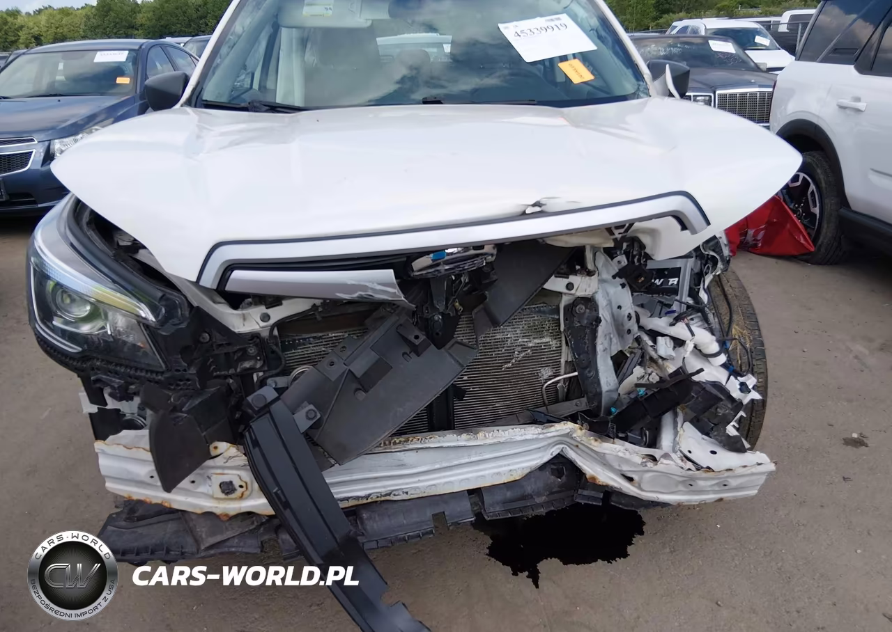 2019 Subaru Forester VIN:JF2SKAACXKH537885 - 6