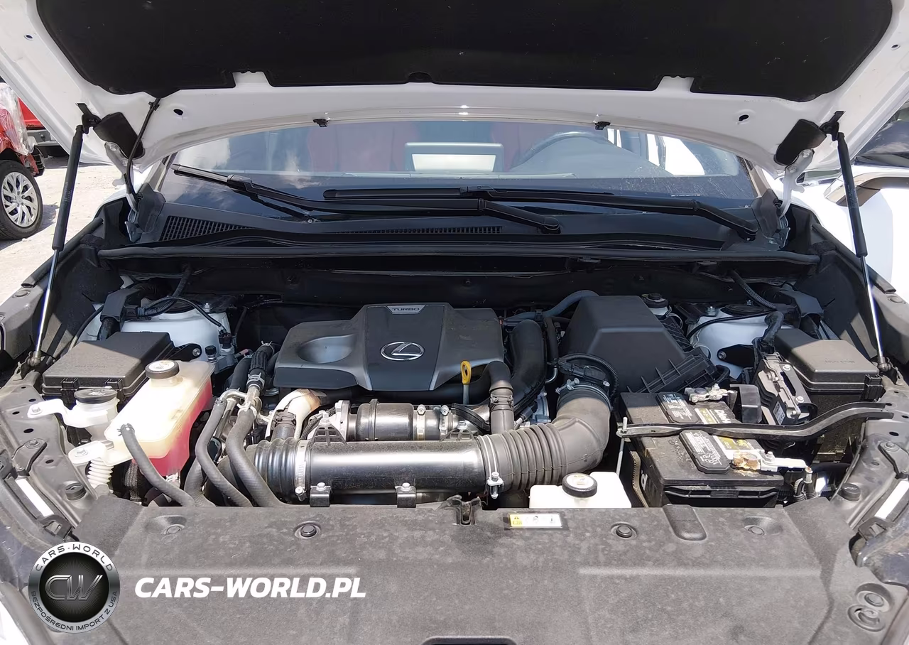 2021 Lexus Nx 300 F Sport VIN:JTJSARBZ3M5029276 - 10