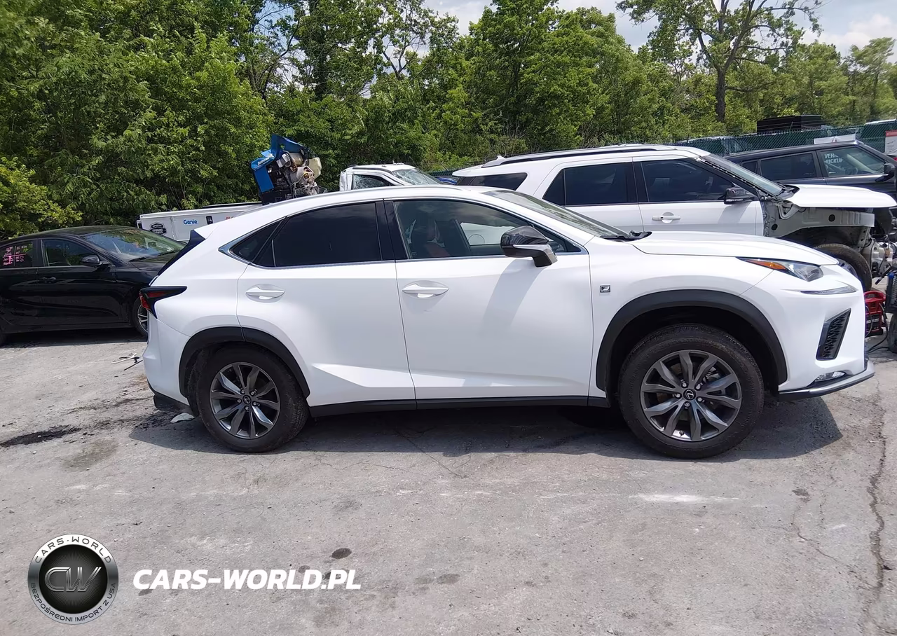 2021 Lexus Nx 300 F Sport VIN:JTJSARBZ3M5029276 - 13