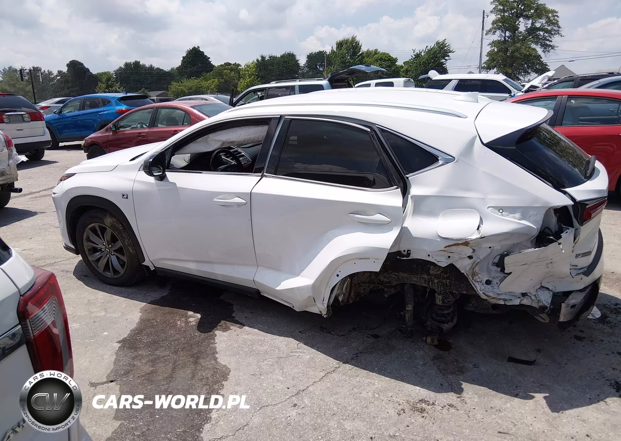2021 Lexus Nx 300 F Sport VIN:JTJSARBZ3M5029276 - 14