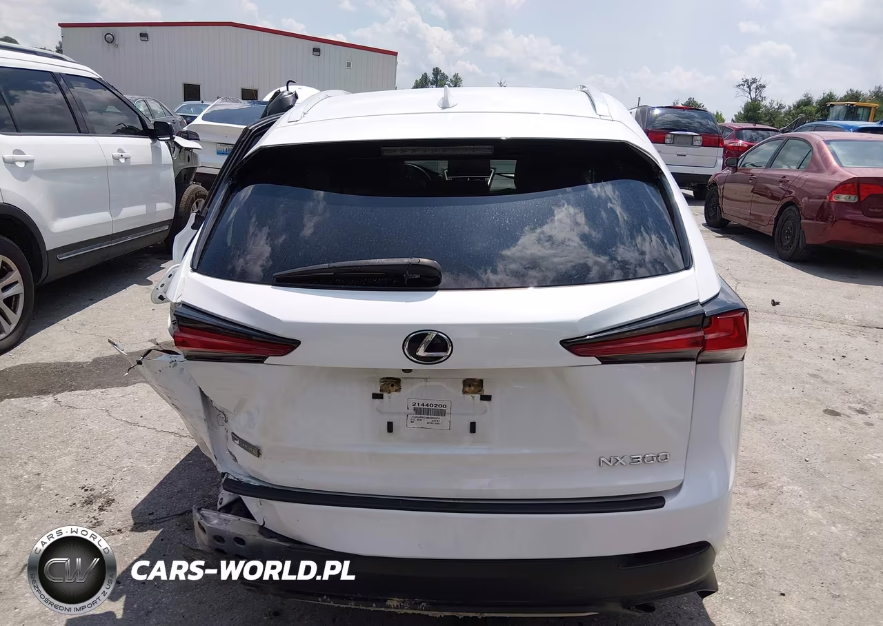 2021 Lexus Nx 300 F Sport VIN:JTJSARBZ3M5029276 - 16