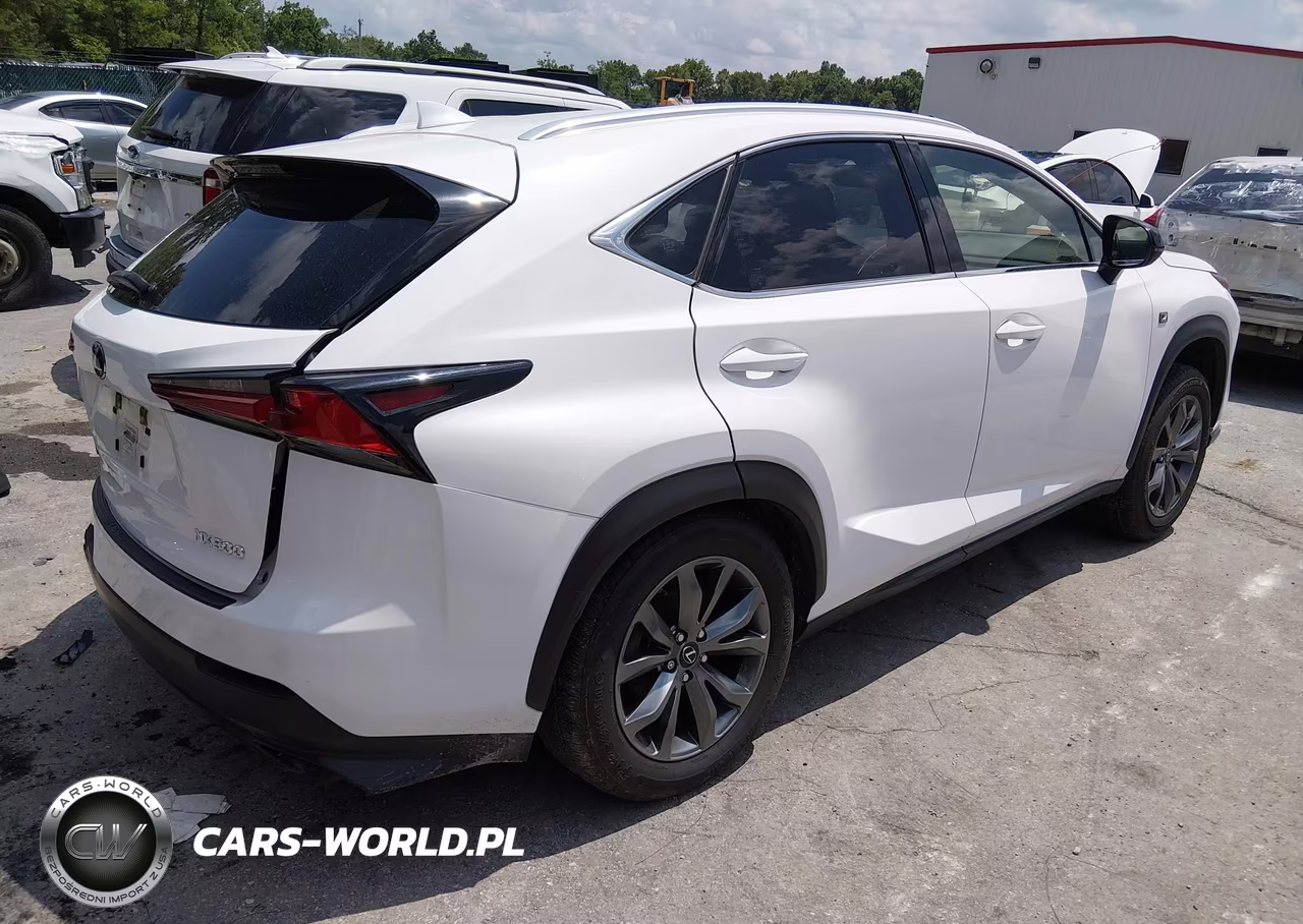 2021 Lexus Nx 300 F Sport VIN:JTJSARBZ3M5029276 - 4