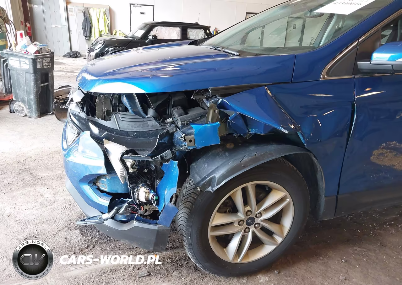 2018 Ford Edge Sel VIN:2FMPK4J96JBC06206 - 6