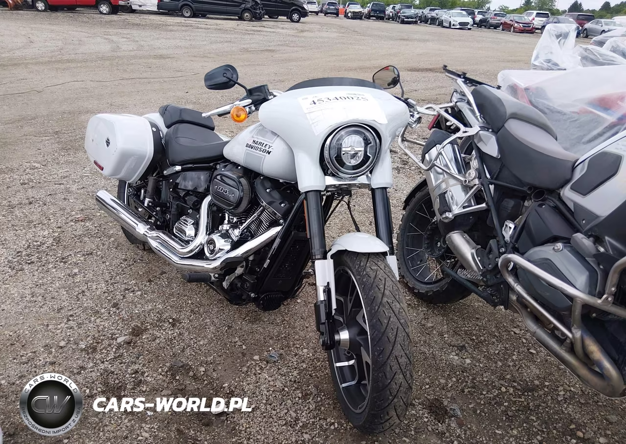 2021 Harley-Davidson Flsb – zdjęcie 1 z 15