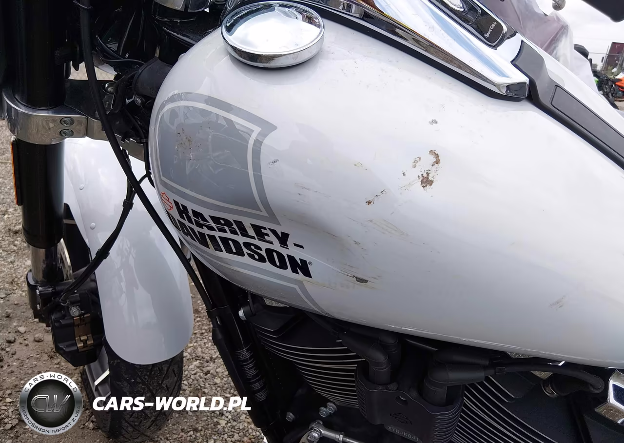 2021 Harley-Davidson Flsb VIN:1HD1YMJ10MB041135 - 14