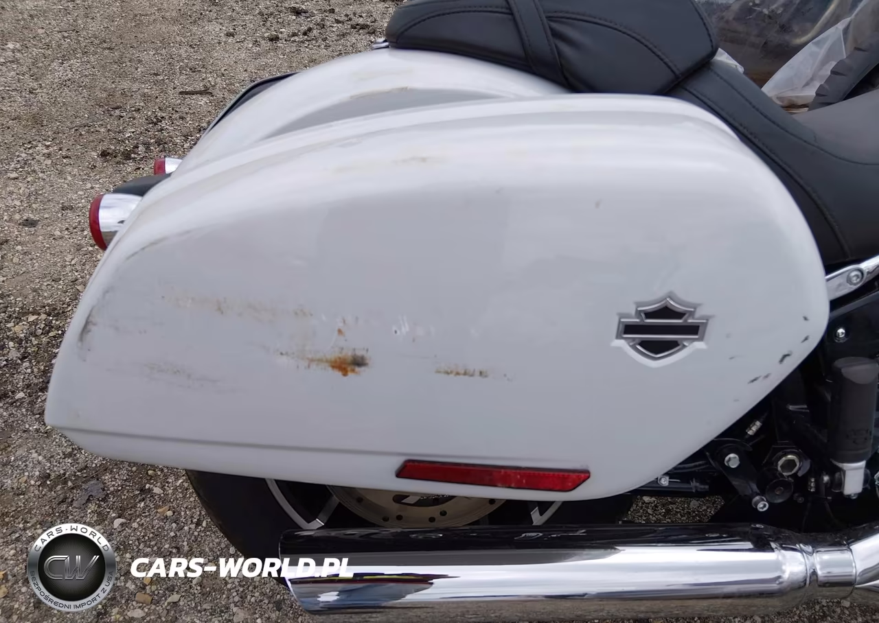 2021 Harley-Davidson Flsb VIN:1HD1YMJ10MB041135 - 15