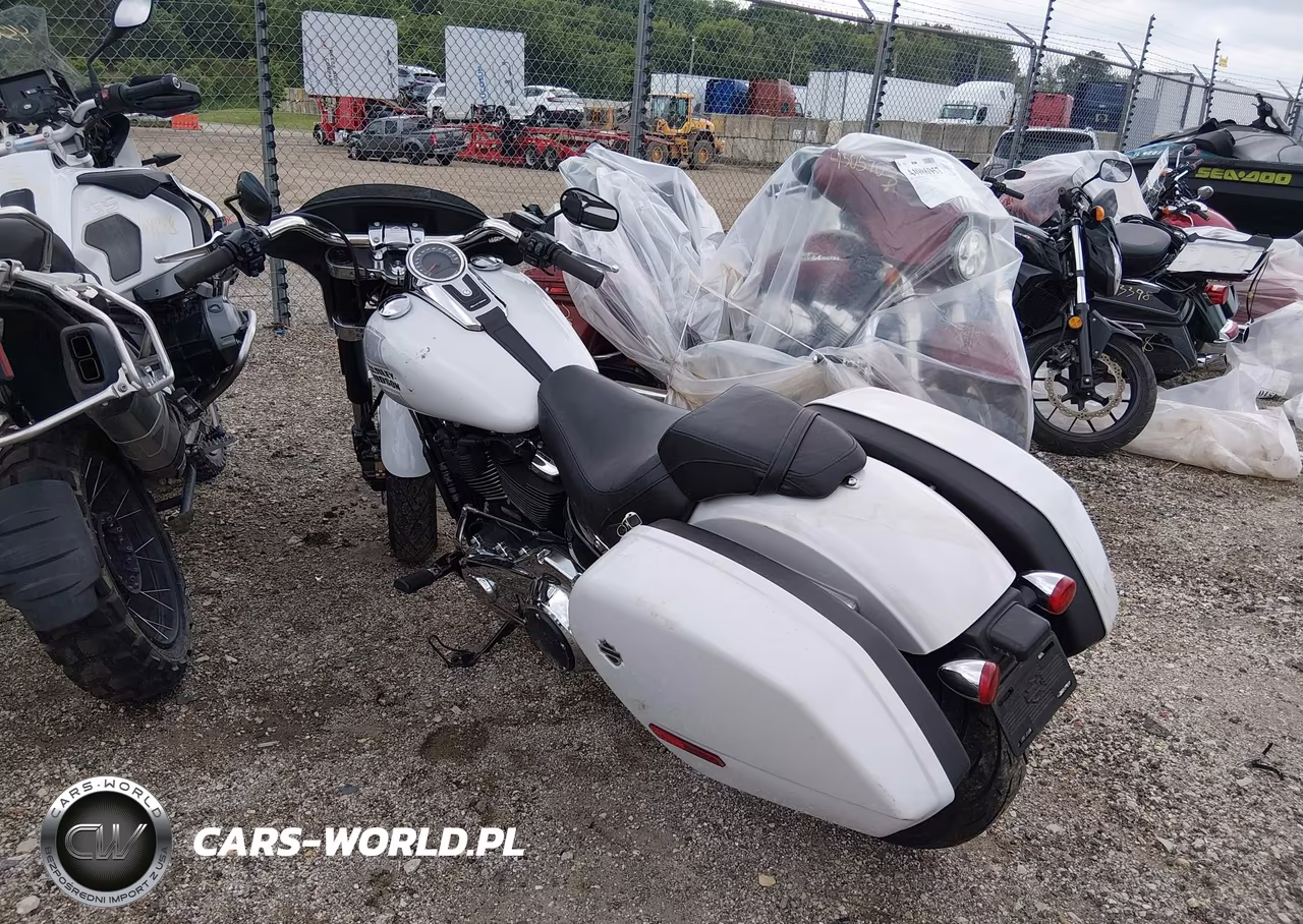 2021 Harley-Davidson Flsb VIN:1HD1YMJ10MB041135 - 3