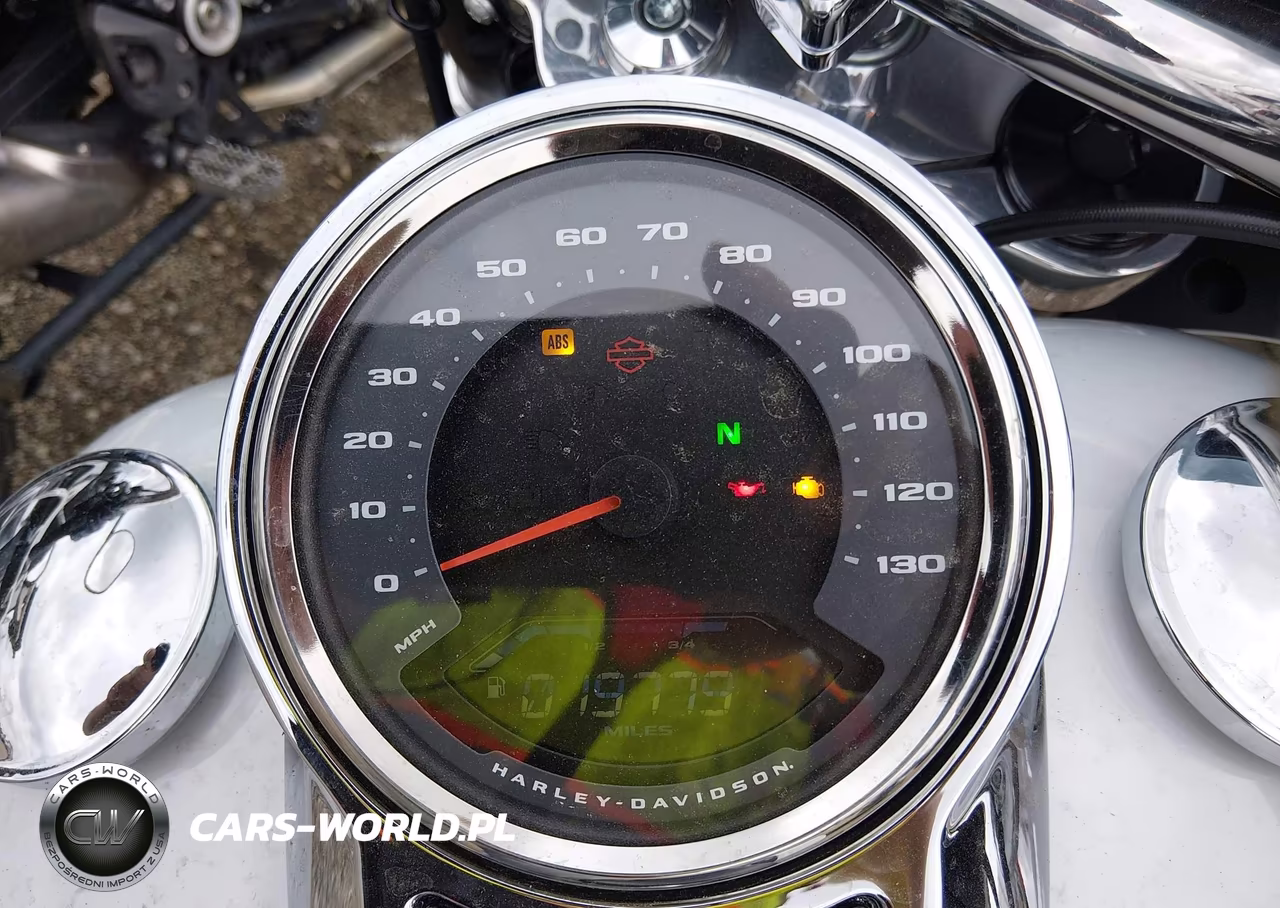 2021 Harley-Davidson Flsb VIN:1HD1YMJ10MB041135 - 7