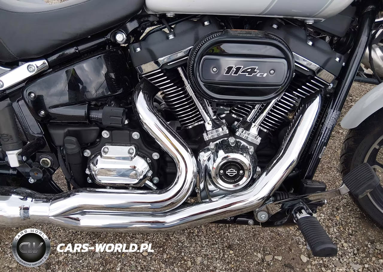 2021 Harley-Davidson Flsb VIN:1HD1YMJ10MB041135 - 8