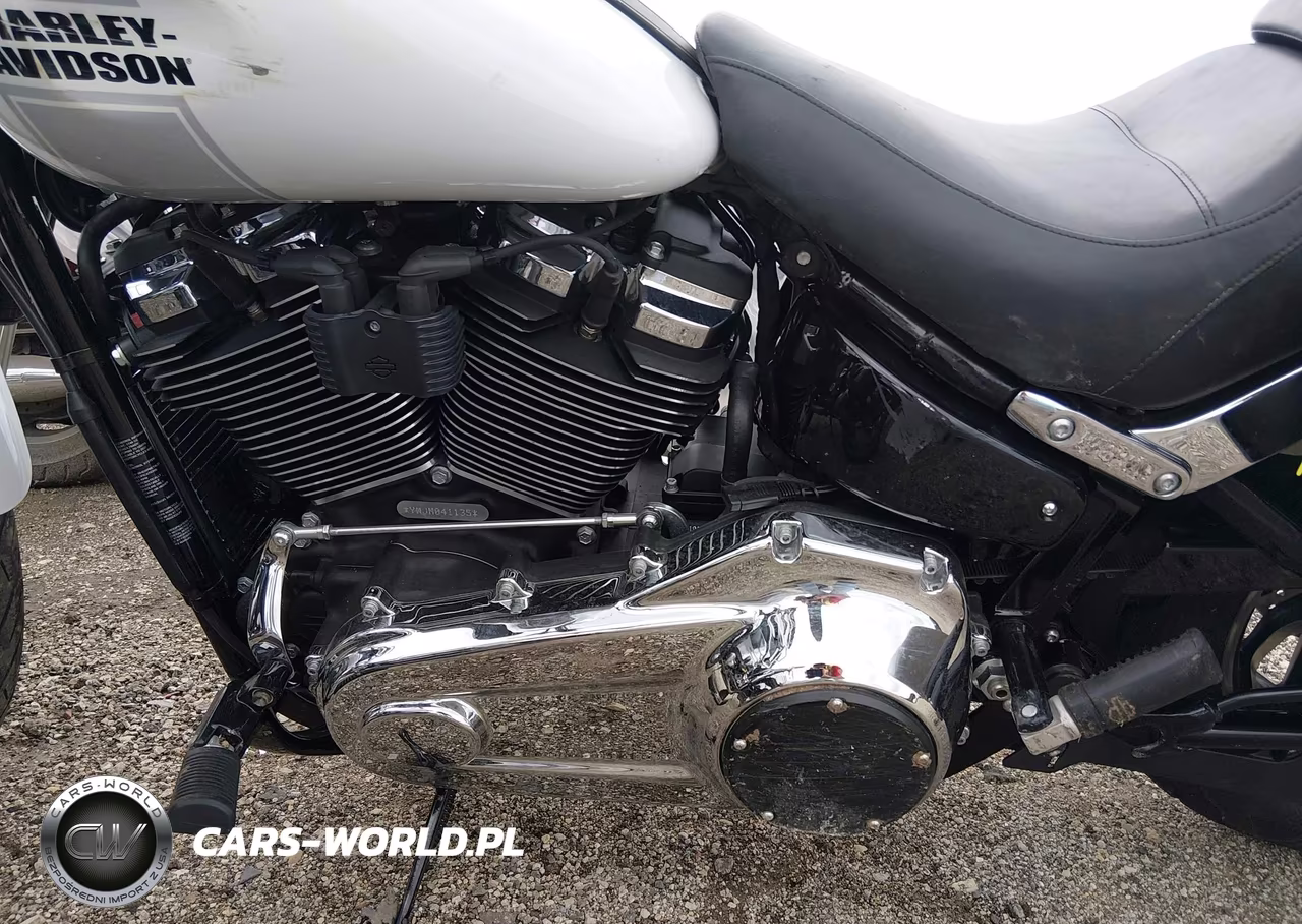 2021 Harley-Davidson Flsb VIN:1HD1YMJ10MB041135 - 9