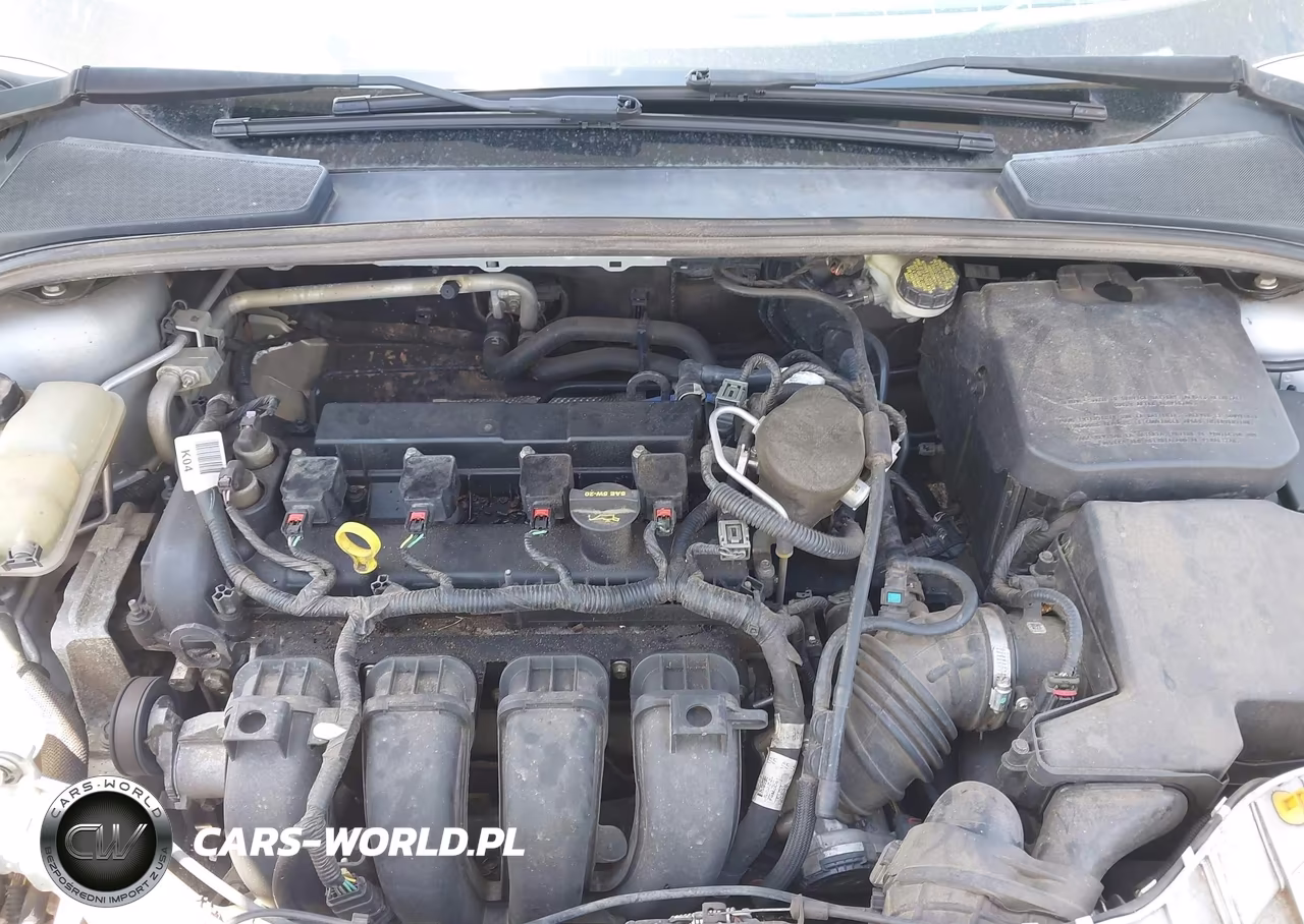 2014 Ford Focus Se VIN:1FADP3K27EL325611 - 10