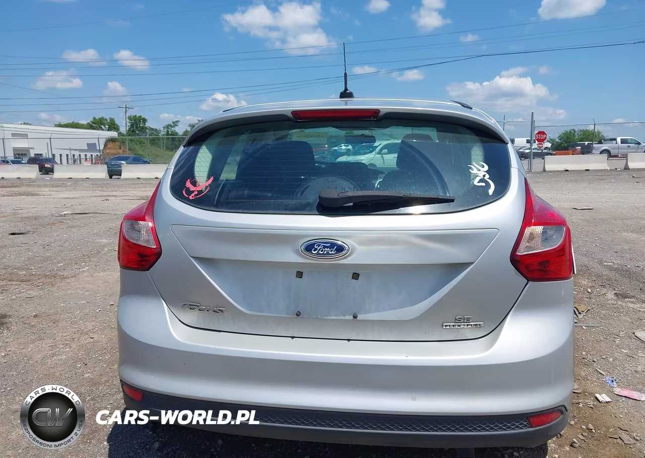 2014 Ford Focus Se VIN:1FADP3K27EL325611 - 16