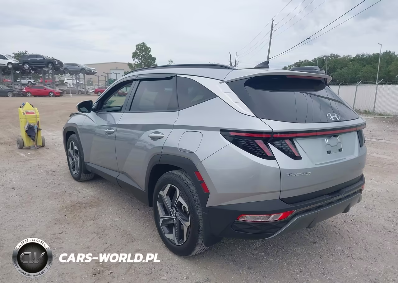 2024 Hyundai Tucson Limited VIN:5NMJE3DE4RH437784 - 3