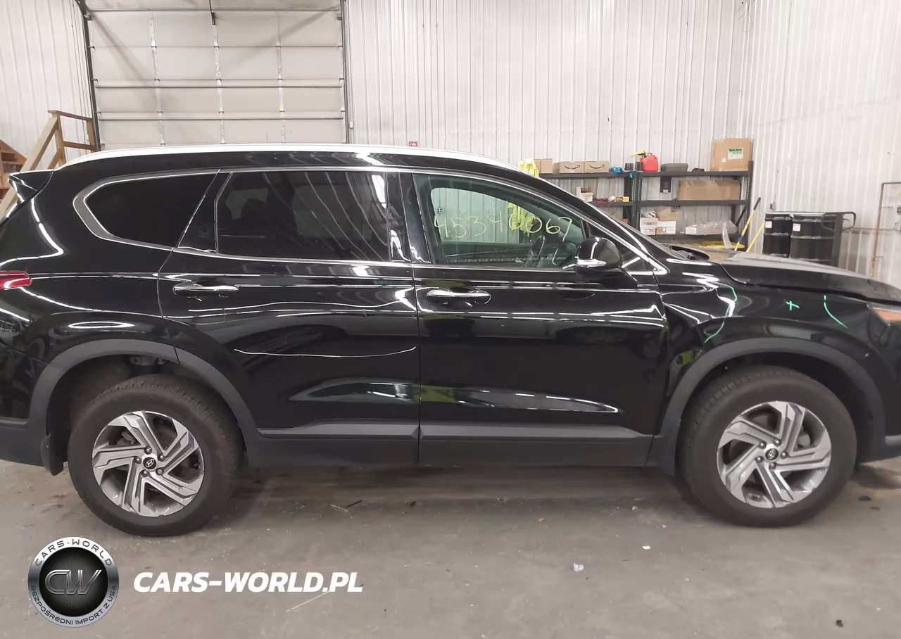 2023 Hyundai Santa Fe Sel VIN:5NMS2DAJ3PH499873 - 13