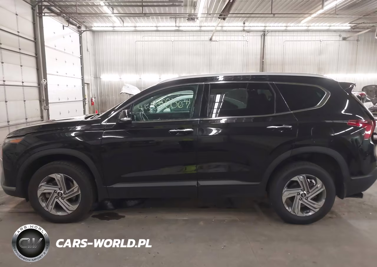 2023 Hyundai Santa Fe Sel VIN:5NMS2DAJ3PH499873 - 14