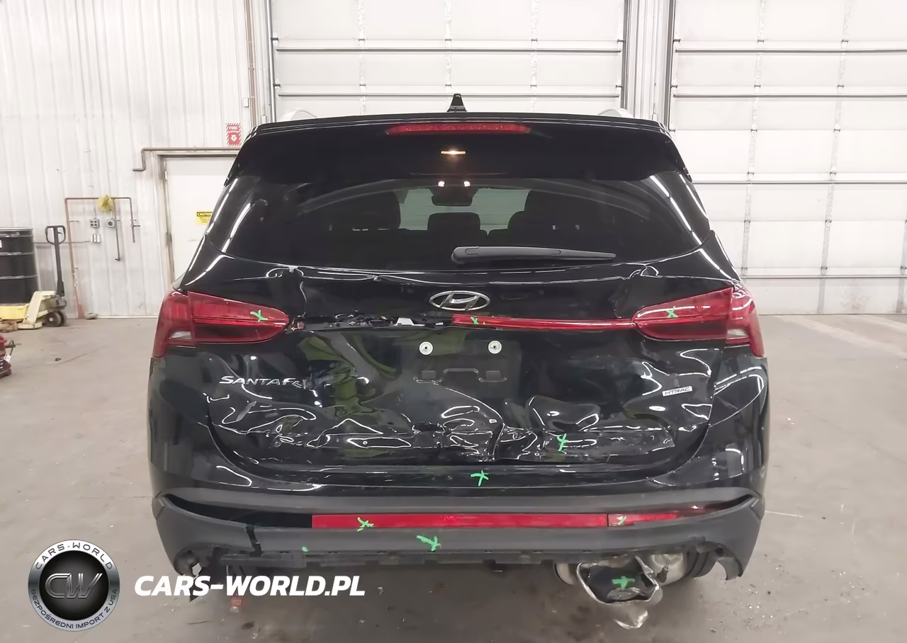 2023 Hyundai Santa Fe Sel VIN:5NMS2DAJ3PH499873 - 16