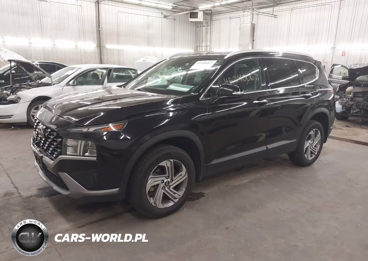 2023 Hyundai Santa Fe Sel VIN:5NMS2DAJ3PH499873 - 2
