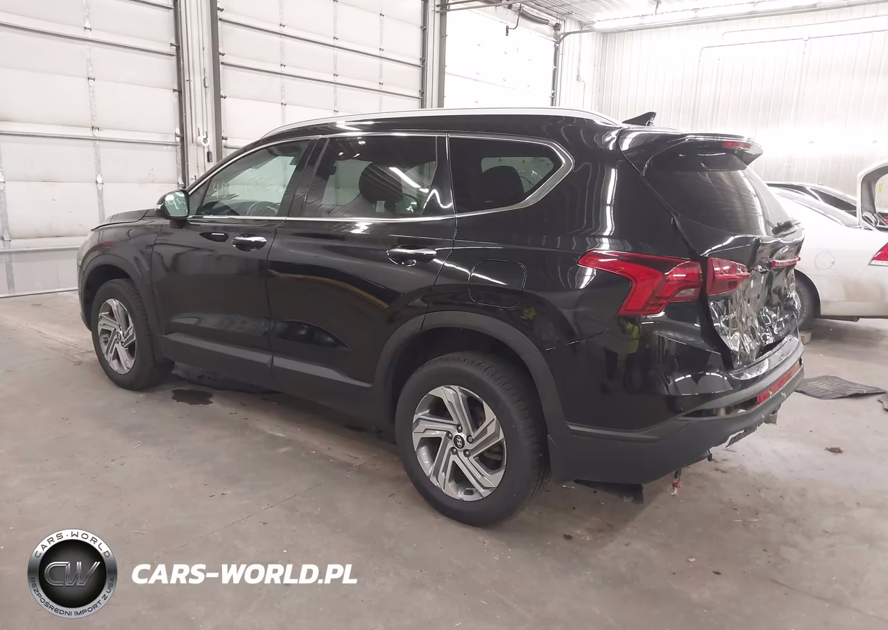 2023 Hyundai Santa Fe Sel VIN:5NMS2DAJ3PH499873 - 3