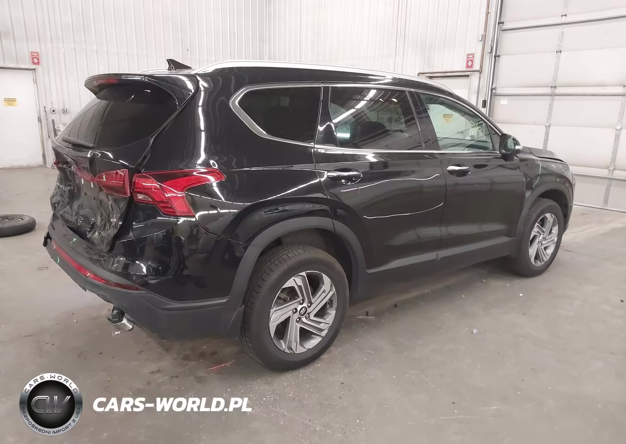 2023 Hyundai Santa Fe Sel VIN:5NMS2DAJ3PH499873 - 4
