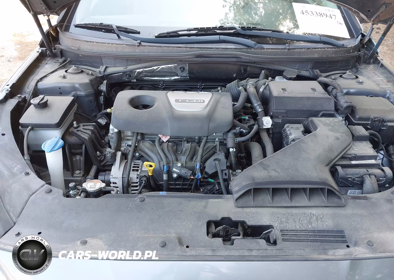 2019 Hyundai Sonata Eco VIN:5NPE24AA2KH773962 - 10