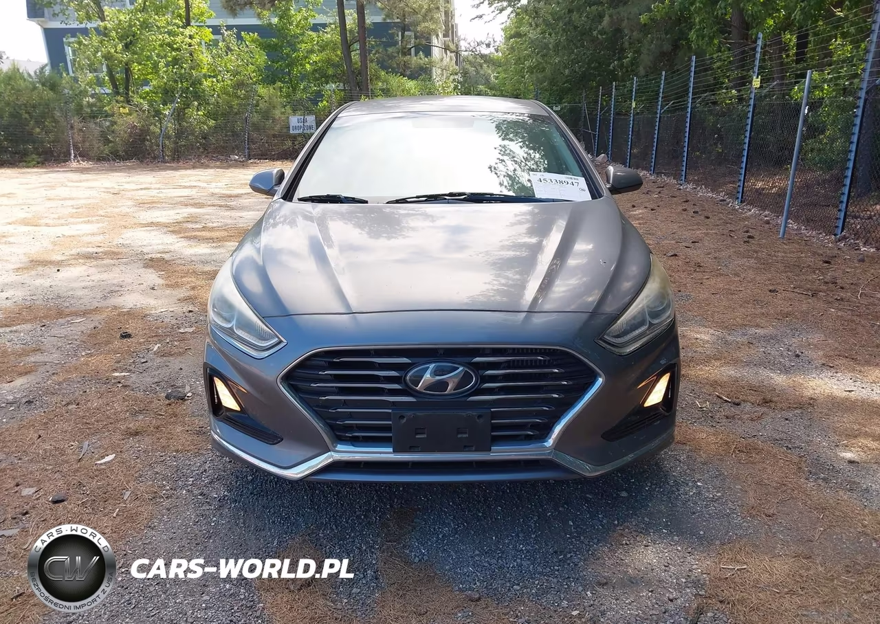 2019 Hyundai Sonata Eco VIN:5NPE24AA2KH773962 - 12