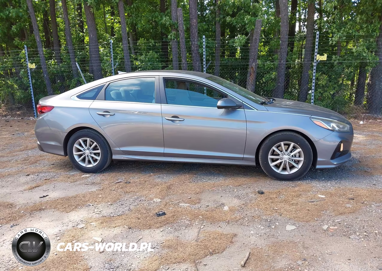 2019 Hyundai Sonata Eco VIN:5NPE24AA2KH773962 - 13