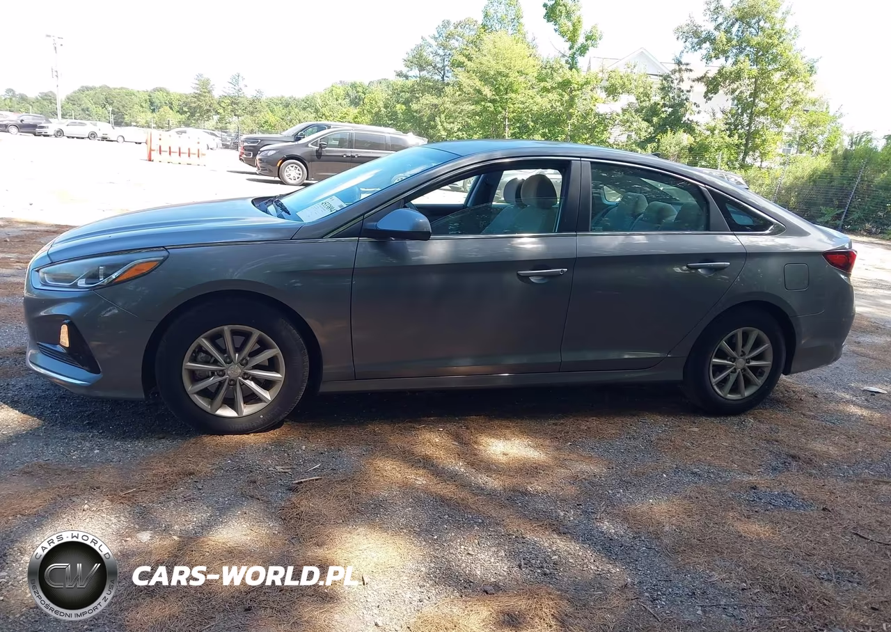 2019 Hyundai Sonata Eco VIN:5NPE24AA2KH773962 - 14