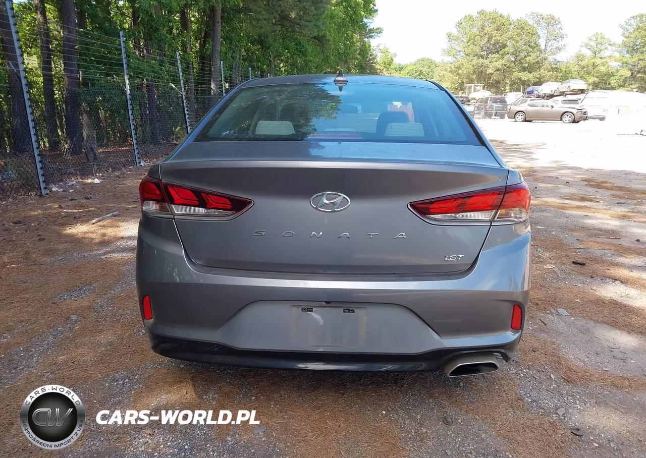 2019 Hyundai Sonata Eco VIN:5NPE24AA2KH773962 - 16