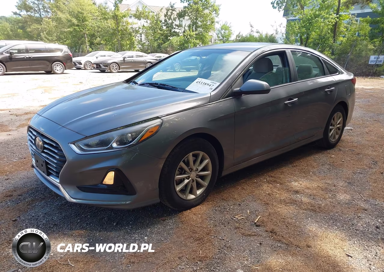 2019 Hyundai Sonata Eco VIN:5NPE24AA2KH773962 - 2