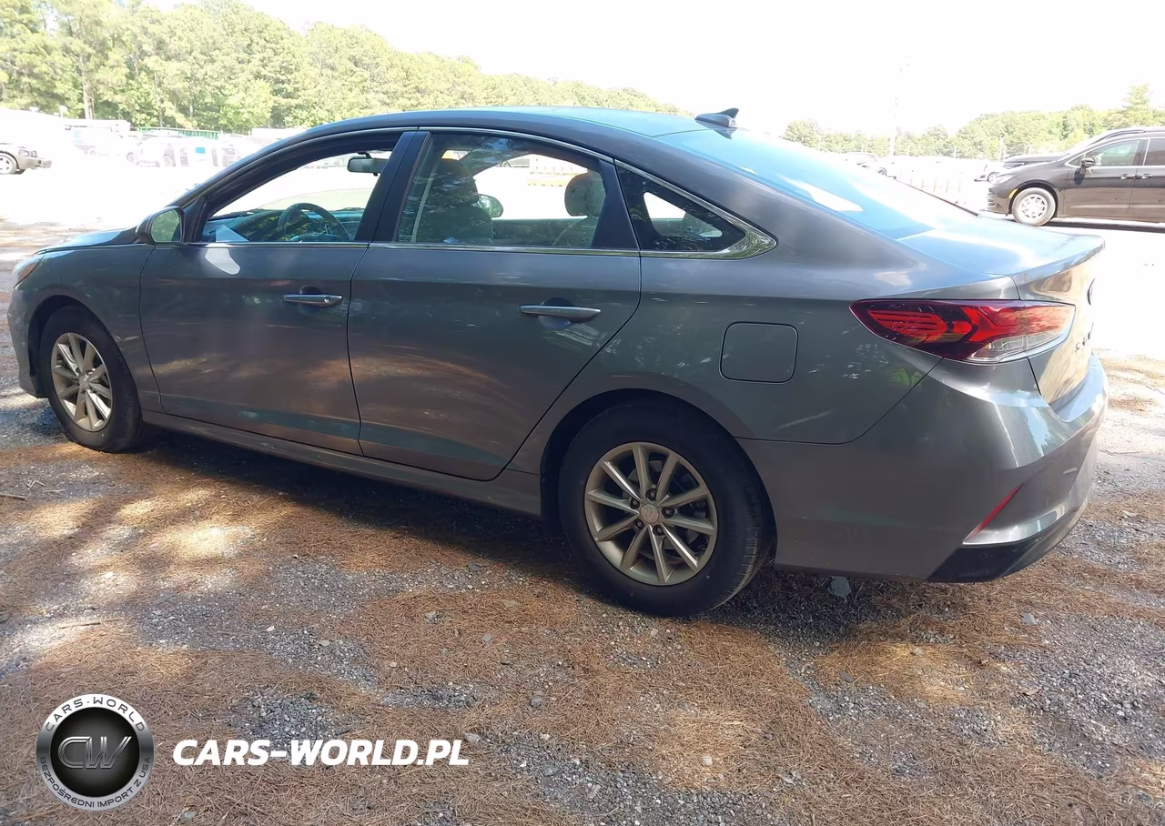 2019 Hyundai Sonata Eco VIN:5NPE24AA2KH773962 - 3