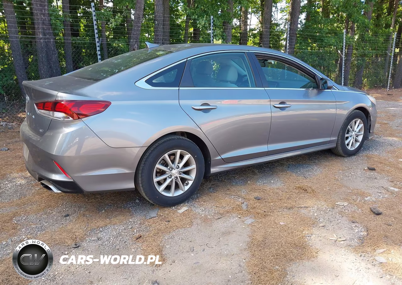 2019 Hyundai Sonata Eco VIN:5NPE24AA2KH773962 - 4