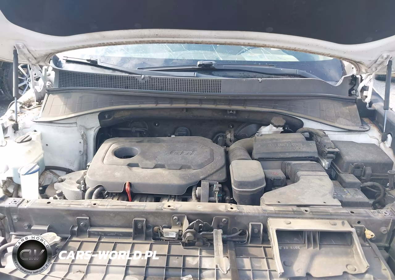 2019 Kia Sorento 2.4L Lx VIN:5XYPG4A3XKG464226 - 10