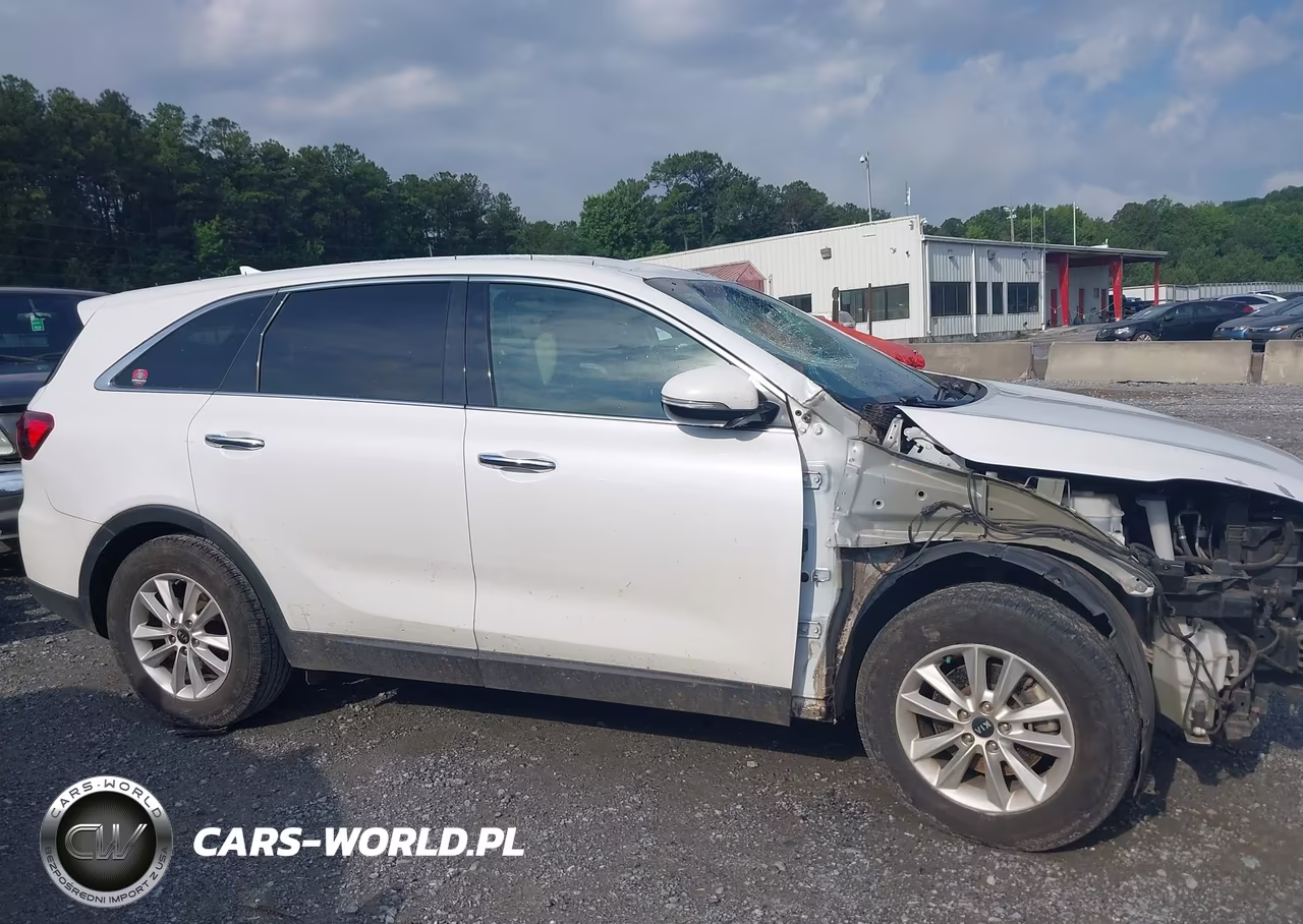 2019 Kia Sorento 2.4L Lx VIN:5XYPG4A3XKG464226 - 13