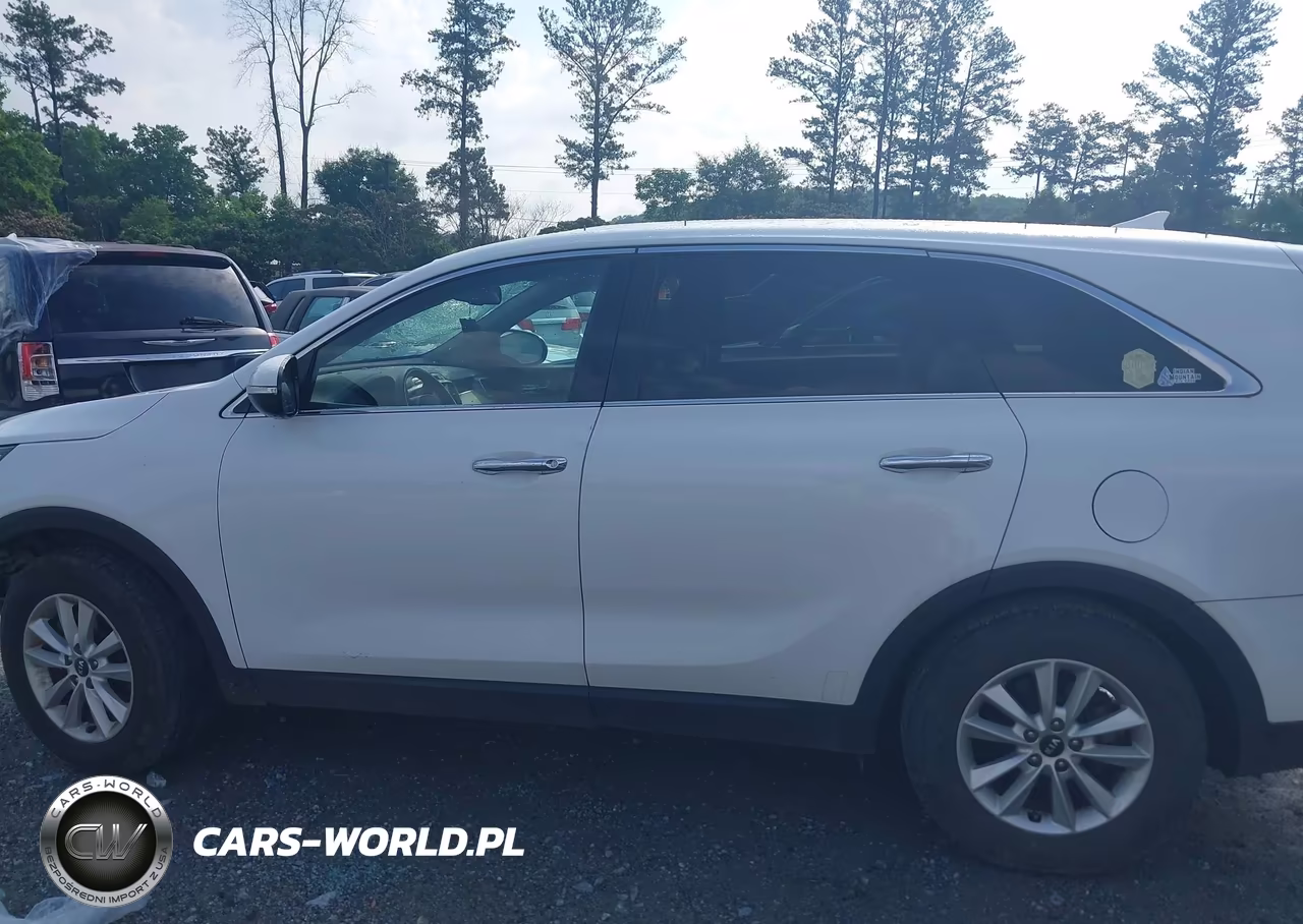 2019 Kia Sorento 2.4L Lx VIN:5XYPG4A3XKG464226 - 14