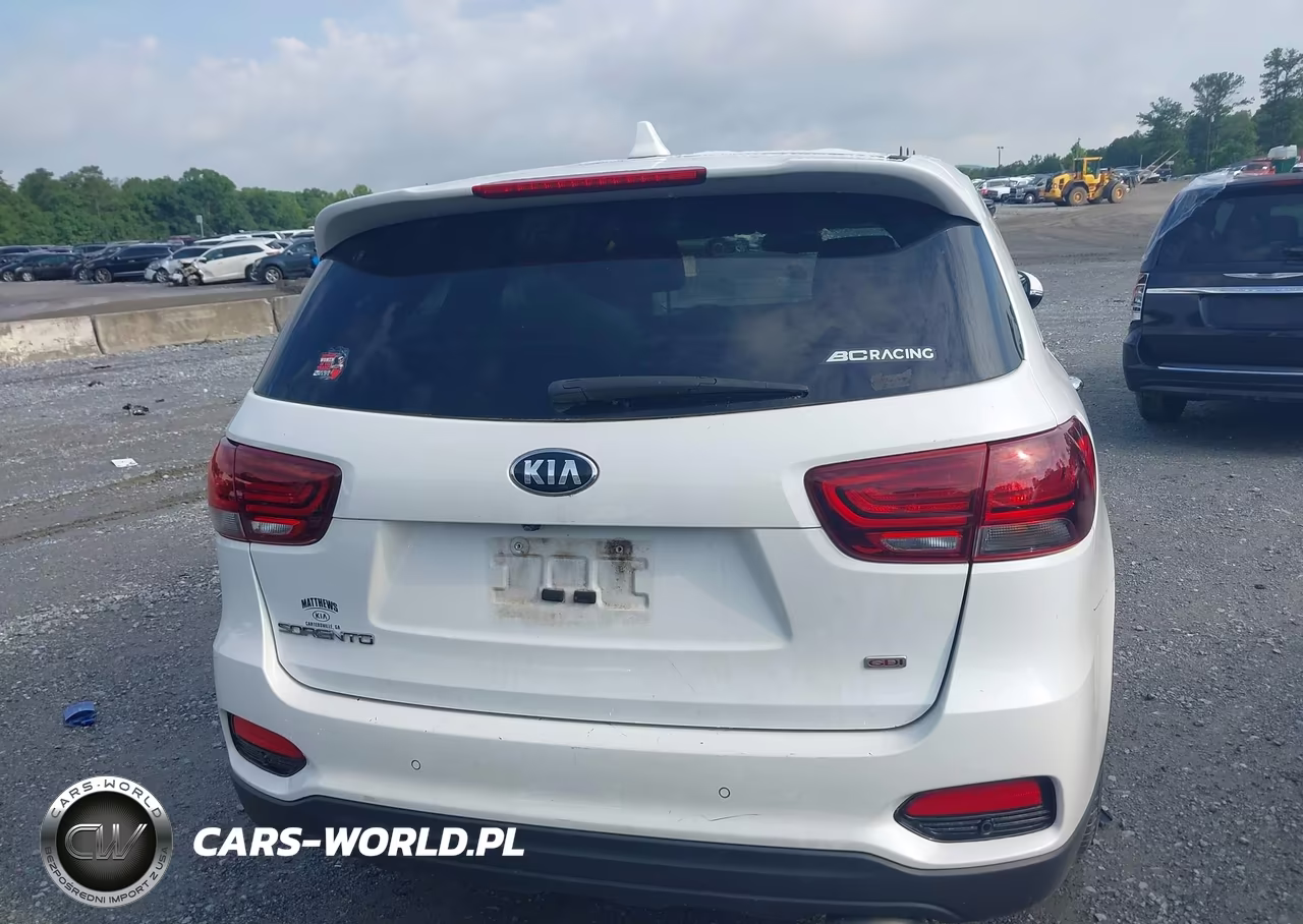 2019 Kia Sorento 2.4L Lx VIN:5XYPG4A3XKG464226 - 16