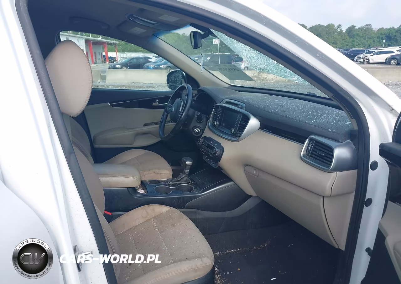 2019 Kia Sorento 2.4L Lx VIN:5XYPG4A3XKG464226 - 5