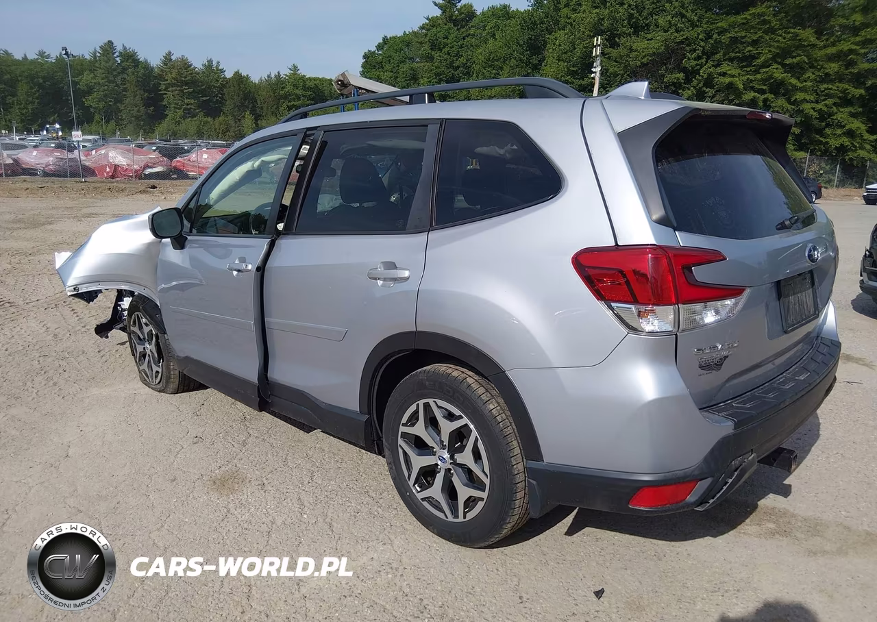 2019 Subaru Forester Premium VIN:JF2SKAGC4KH561591 - 3
