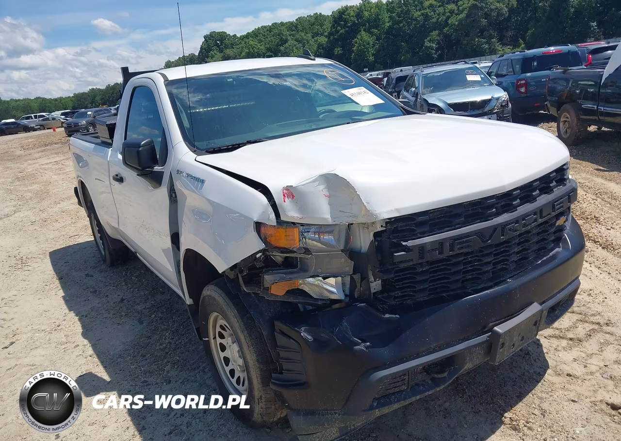 2019 Chevrolet Silverado 1500 Work Truck VIN:3GCNWAEH1KG175820 - 6